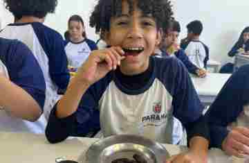 Pinhão amplia espaço nos cardápios da alimentação escolar da rede estadual